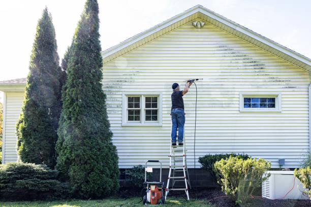 Best Sidewalk and Walkway Cleaning  in Kalida, OH